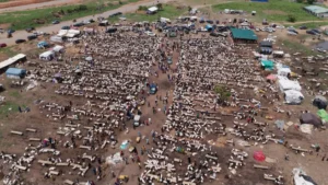 Soaring Prices Threaten Eid Celebrations in Nigeria