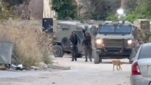Allegations of Israeli Authority Aggression Towards Palestinians During Eid al-Adha Surface